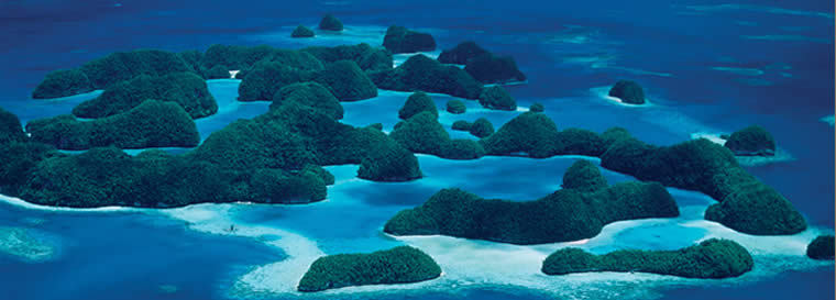 Palau,  Sea Kayaking,  Koror,  South Pacific,  Rock Islands,  Peleliu,  Snorkeling.