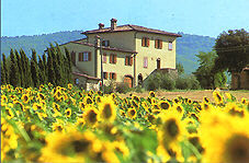 Authentic Southern Tuscany, Tuscany, Florence, Food, Wine, Cooking Vacation, Cooking Class, Culinary