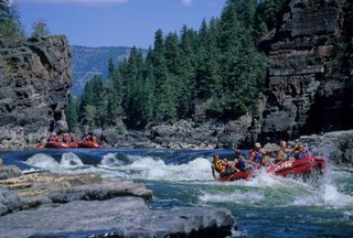 Syringa Idaho
,  Kooskia Idaho
,  Lowell Idaho
,  Idaho
,  Lewiston Idaho
,  Missoula Montana
,  Montana
,  Spokane Washington
,  Washington
,  Lochsa River
,  Selway River
,  Middle Fork of the Clearwater River
,  Selway-Bitterroot Wilderness area
,  temperate rainforest
,  rainforest
,  Lewis & Clark Trail
,  Nez Perce Reservation
,  hot springs
,  Heart of the Monster
,  Selway Falls
,  Lochsa Falls
,  Lolo Pass
,  Highway 12
,  Three Rivers
,  rough water
,  Bitterroot Mountains
,  Goat Range
,  Wild and Scenic River
,  Lewis and Clark Trail
,  National Forest
,  Superior Montana
,  Clark Fork River
,  Alberton Gorge
,  Clark Fork through the Alberton Gorge
,  Hiawatha Trail
,  St. Joe River
,  Blackfoot River
,  Route of the Hiawatha
,  old Milwaukee Railroad, Idaho, Montana, United States, North America