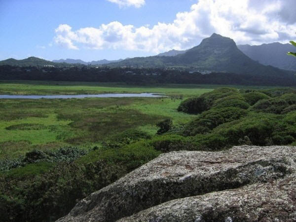 service project,  oahu tours,  native legends,  hawaiian culture,  hawaiian history,  storytelling