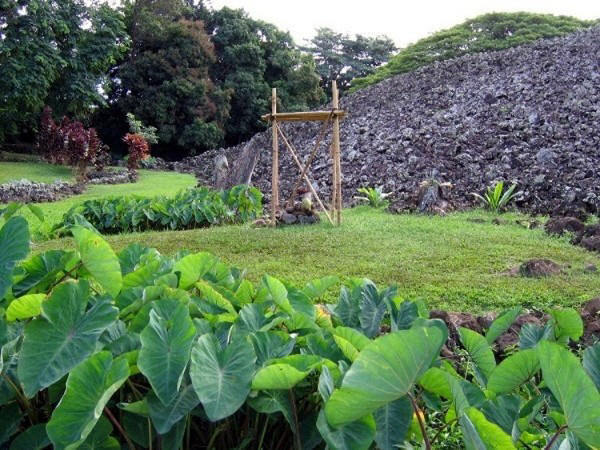 service project,  oahu tours,  native legends,  hawaiian culture,  hawaiian history,  storytelling