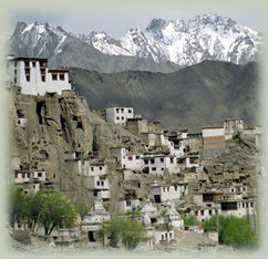 Leh
,  Ladakh
,  Markha Valley
,  Himalayas