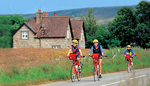 Pedal the Historic Coast and Tranquil Farmland
