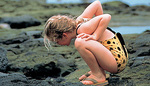 Bike, Walk, Sea Kayak and Snorkel From Coast to Crater