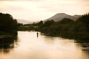 /files/pictures/0004/8264/FlyFishing1_017_a.jpg