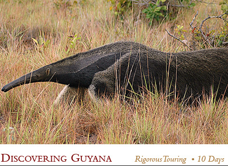 Guyana, South America