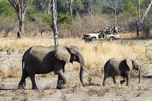 Zambia, Africa