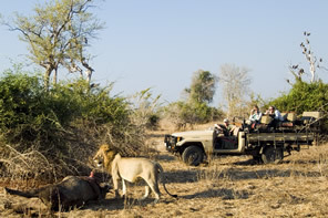 Zambia, Africa