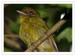 Panama, Central America