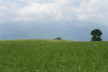 Albania, Macedonia, Europe