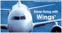 /files/pictures/0009/7142/wings_game.jpg