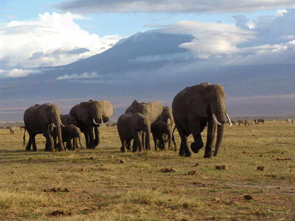 Kenya, Africa