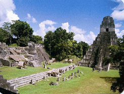 Adventure
, Travel
, Family
, Eco Tour
, Wilderness
, International
, Vacation
, Beach
, Tropical
, Destination
, Tour
, Rainforest
, Belize
, Cruise
, Map
, Climate
, Bird watching
, Jungle
, Cave tubing
, Snorkel
, Scuba Dive or SCUBA dive
, Reef
, Maya ruins
, Tikal