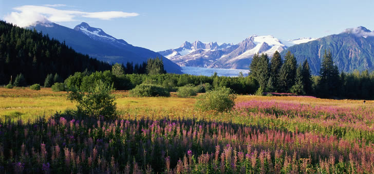 Alaska, United States, North America