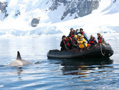 South Shetland Islands  
, Antarctic Peninsula , Antarctica, South America