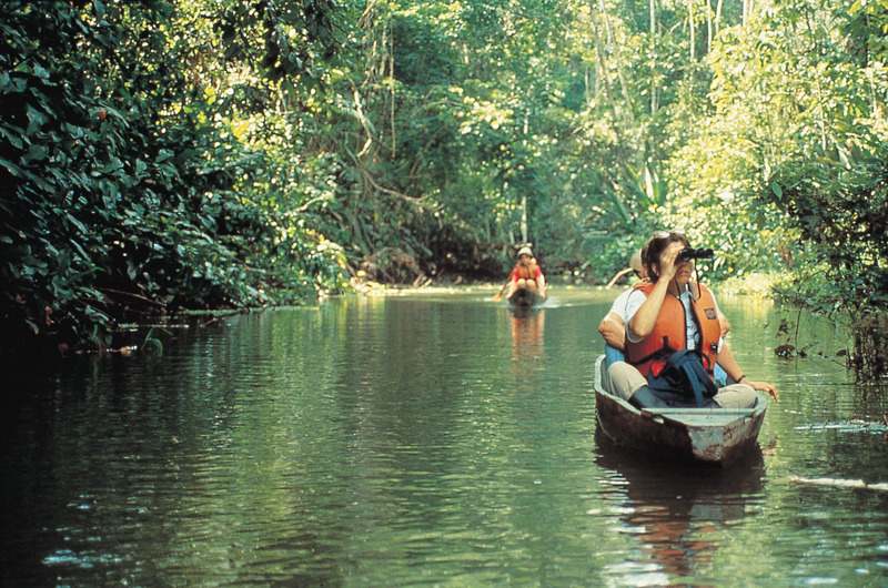 Amazon Jungle
, Wildlife Viewing
, Rain forest
, Photography, Ecuador