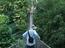 Costa Rica,  Central America,  Tortuguero,  Monteverde,  Arenal,  San Jose,  Caribbean,  Rainforest,  Cloud Forest,  Continental Divide