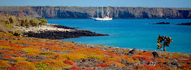 Ecuador, South America, Galapagos