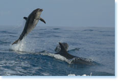 Galapagos Islands, Ecuador