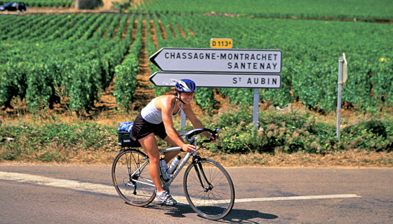 Burgundy Biking:  From the Morvan to the CÃ´te dâ€™Or Europe France Burgundy, France, Europe