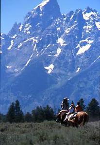 Moose
,  Grand Teton National Park
,  Northwestern Wyoming
,  Yellowstone National Park
,  , wyoming, United States