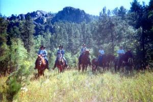 Keystone
,  Black Hills National Forest
,   Mt. Rushmore
, South Dakota, United States