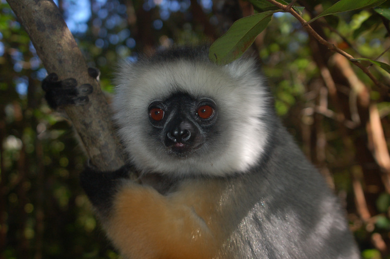 Madagascar, Africa