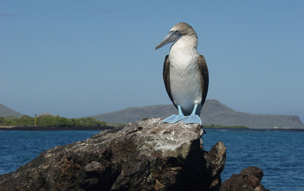 Ecuador, South America, Galapagos