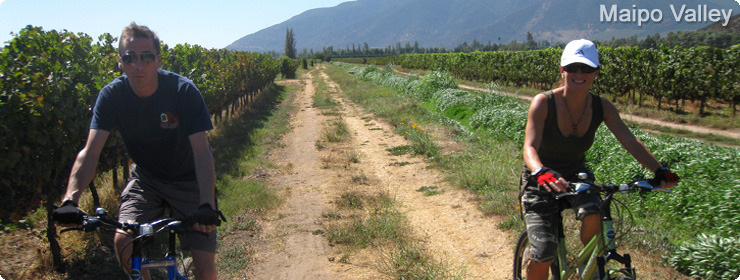Maipo valley, Chile, South America