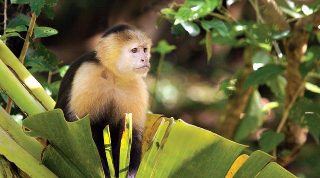 Costa Rica, Central America