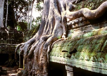 Cambodia, Asia