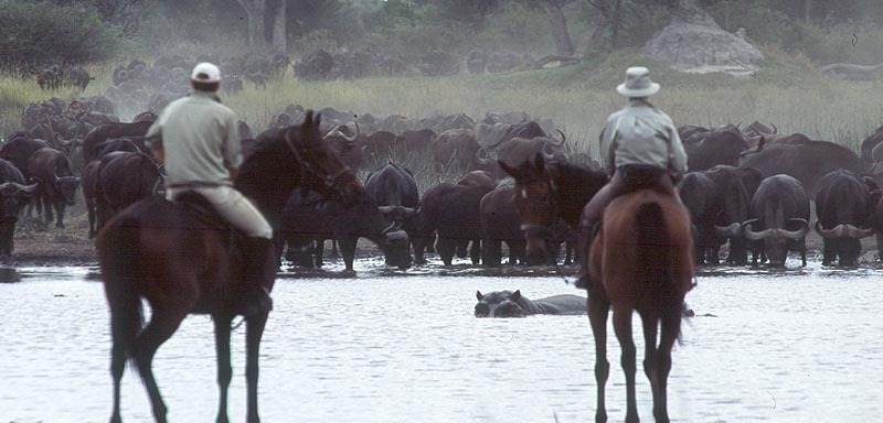 Botswana, Africa