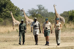 Zambia, Africa
