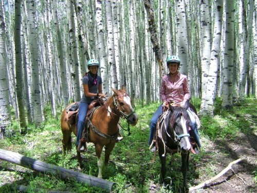 Crawford
,  Western Colorado
,  Aspen
,  Telluride
,  Grand Junction, Colorado, United States