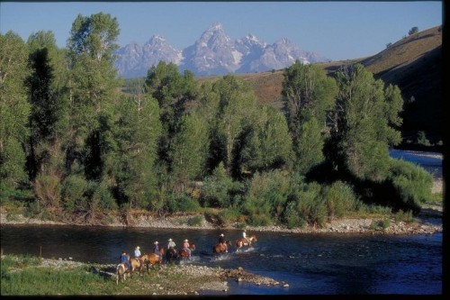 Moose
,  Gros Ventre Mountains
,  Northwestern Wyoming
,  Yellowstone National Park
, 
, wyoming, United States