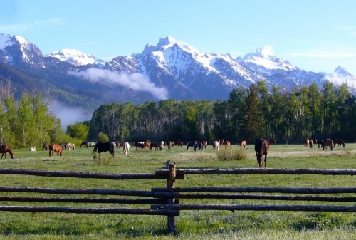 Teton Village
,  Northwestern Wyoming
,  Yellowstone National Park
,  Grand Teton National Park
, wyoming, United States