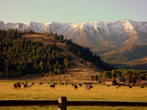 Cody
,  Sunlight Basin
,  Cooke City
,  North Central Wyoming
,  Yellowstone National Park
,  Billings, wyoming, United States