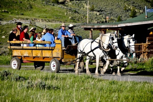 Dubois
,  Shoshone National Forest
,  Yellowstone National Park
,  Grand Teton National Park
,  Northwestern Wyoming
,  Riverton, wyoming, United States