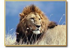 Tanzania, Africa