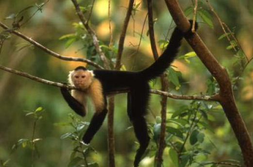 Costa Rica, Central America