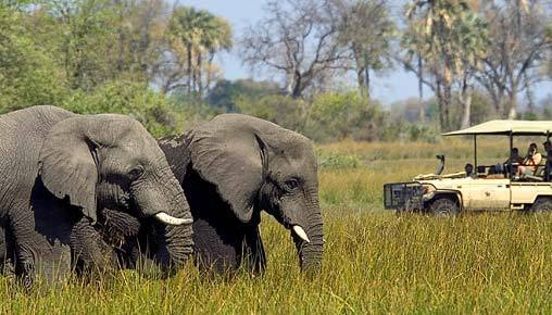 Botswana, Africa