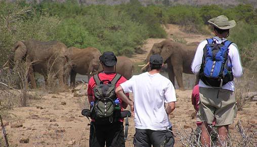 The Great Walk of Africa , Kenya, Africa