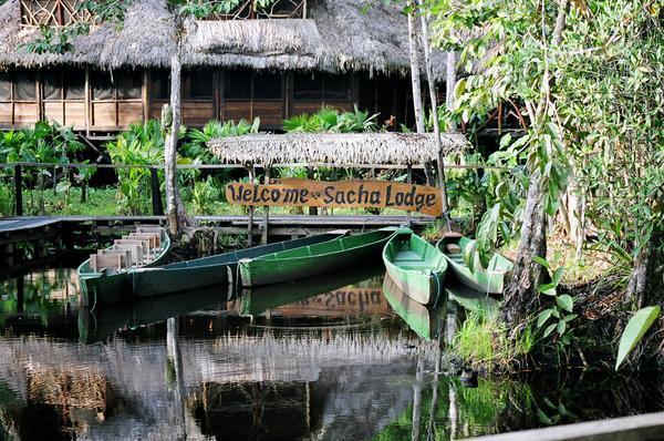 Ecuadorian Amazon,  Sacha Lodge, Ecuador, South America