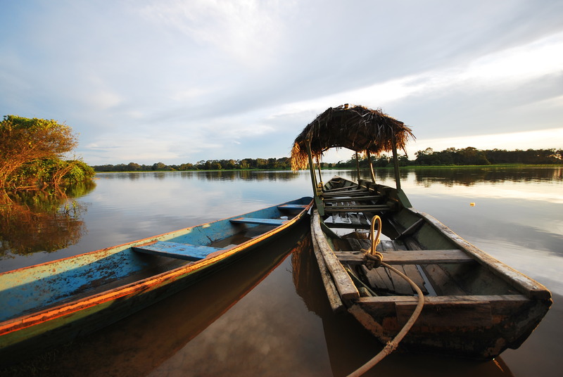 Colombia
, Amazon 
, rainforest
, Colombia