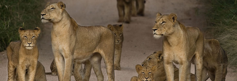 Botswana, Africa
