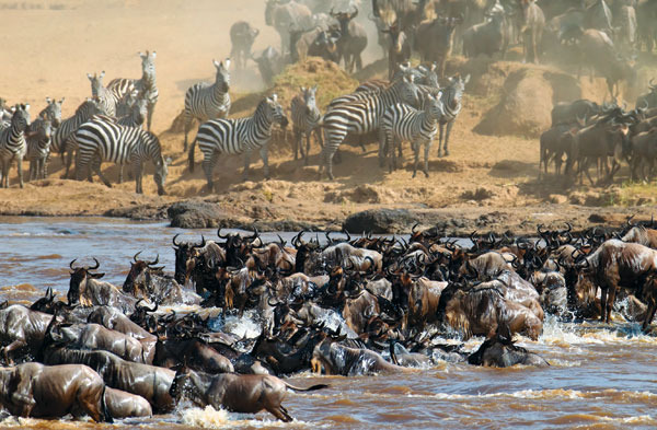 Tanzania, Africa