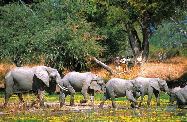 Tanzania, Africa
