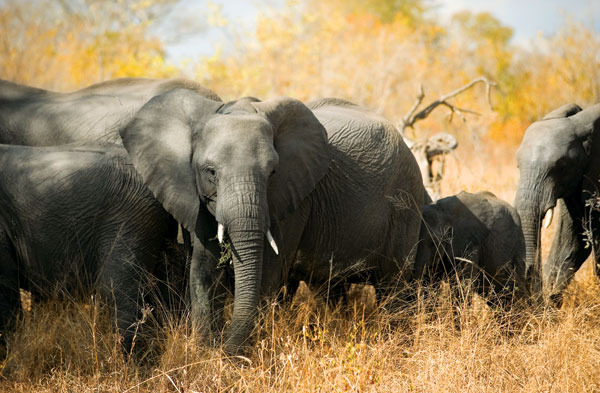 South Africa, Africa