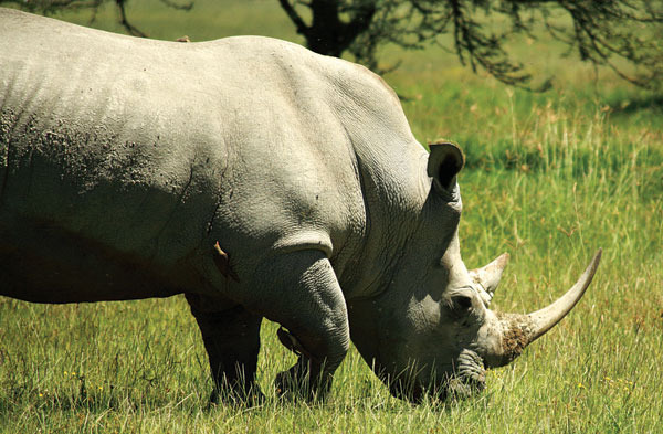 South Africa, Africa