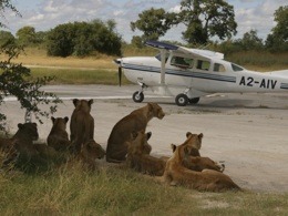 Botswana, Africa